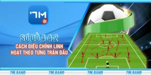 Sơ đồ 4-4-2 - Cách điều chỉnh linh hoạt theo từng trận đấu