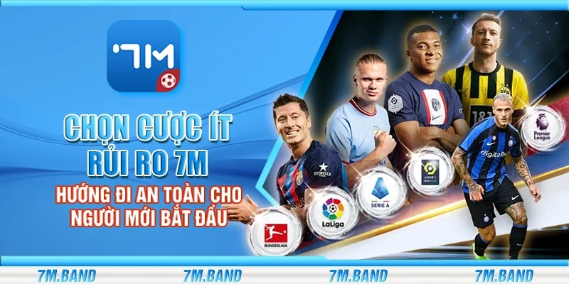 Chọn cược ít rủi ro 7m – Hướng đi an toàn cho người mới bắt đầu